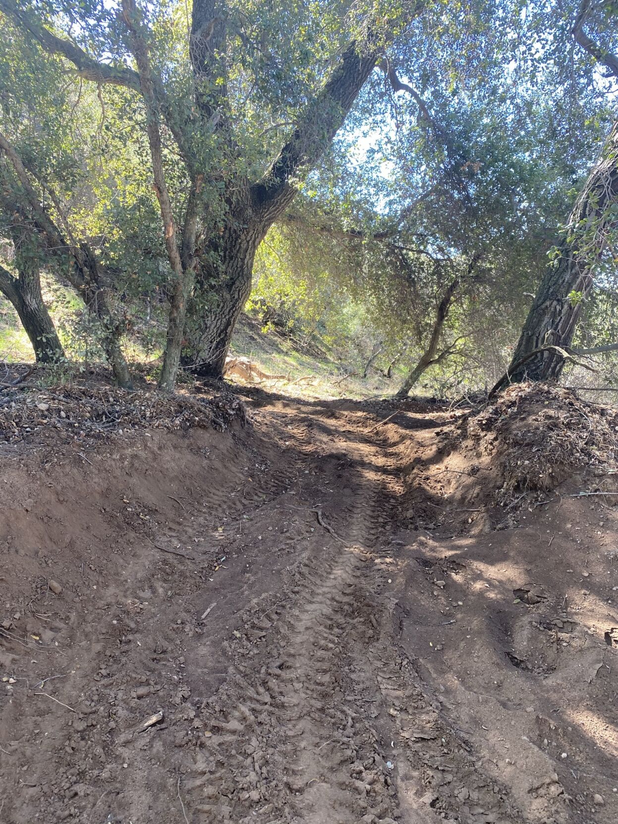 New mountain bike course